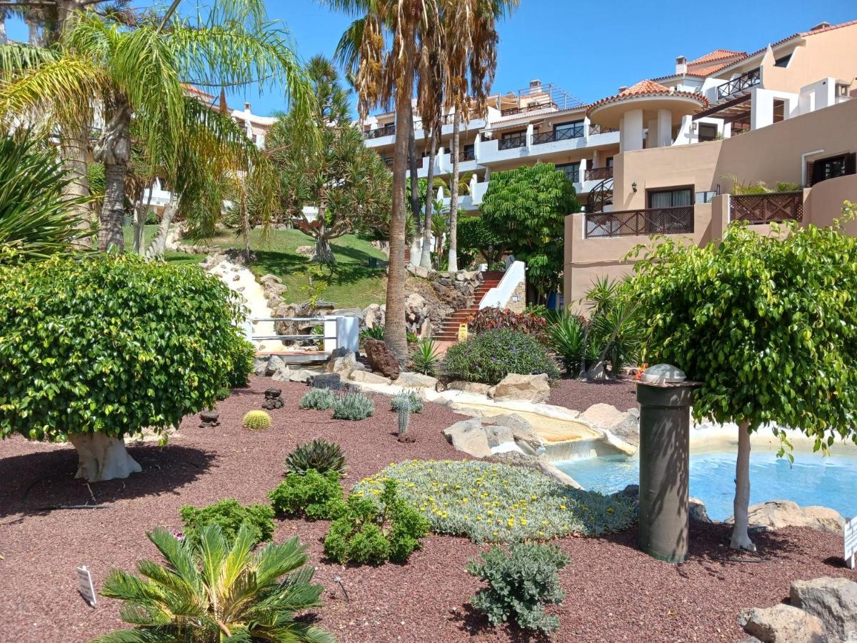 Chillout Studio Albatros In Toller Anlage Mit Pool San Miguel de Abona Eksteriør billede